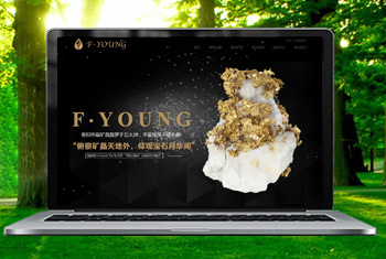 �Ĳ��������ﱦʯ